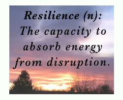resiliency